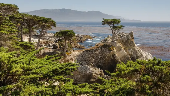 Monterey, Carmel and 17-Mile Drive: Full Day Tour from SF