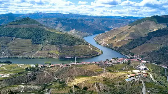 Authentic Small Group Douro Wine Tour with Lunch & River Cruise