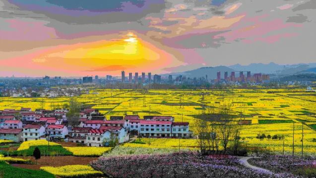 6人團-元墩龍灣油菜花+武侯祠馬超墓+定軍山+諸葛古鎮