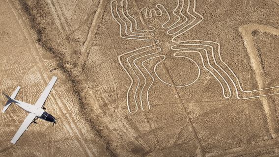 From Huacachina: 1-day trip with flight over the Nazca Lines