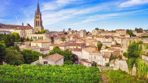 Dari Bordeaux: Tur Sehari St-Emilion dengan Mencicipi dan Makan Siang