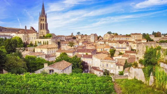 Bordeaux: Trải nghiệm rượu vang trọn ngày tại Saint-Emilion và Medoc
