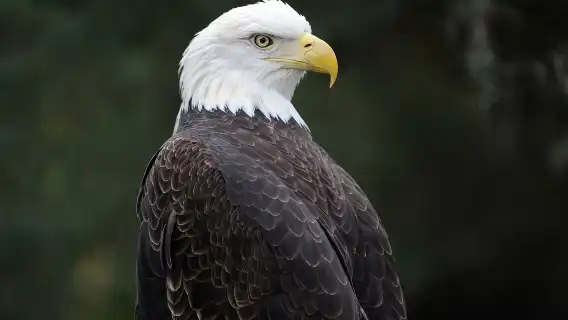 Zoo Miami: General Admission Ticket