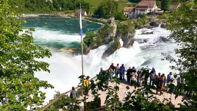 From Zurich: Rhine Falls Coach Tour with Entry Tickets