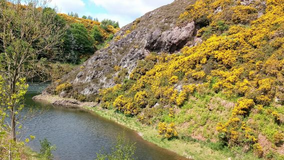 Эдинбург: поход по холмам и природе с местным жителем