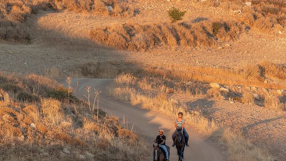 Crete Horse Riding: East Coastline Ride
