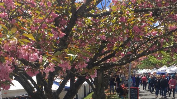 From Sydney: Blue Mountains Day Tour & Hop-on, Hop-off Tour