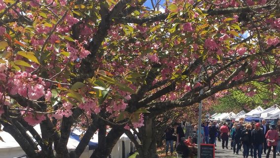 From Sydney: Blue Mountains Day Tour & Hop-on, Hop-off Tour
