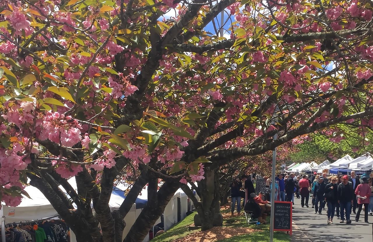 From Sydney: Blue Mountains Day Tour & Hop-on, Hop-off Tour