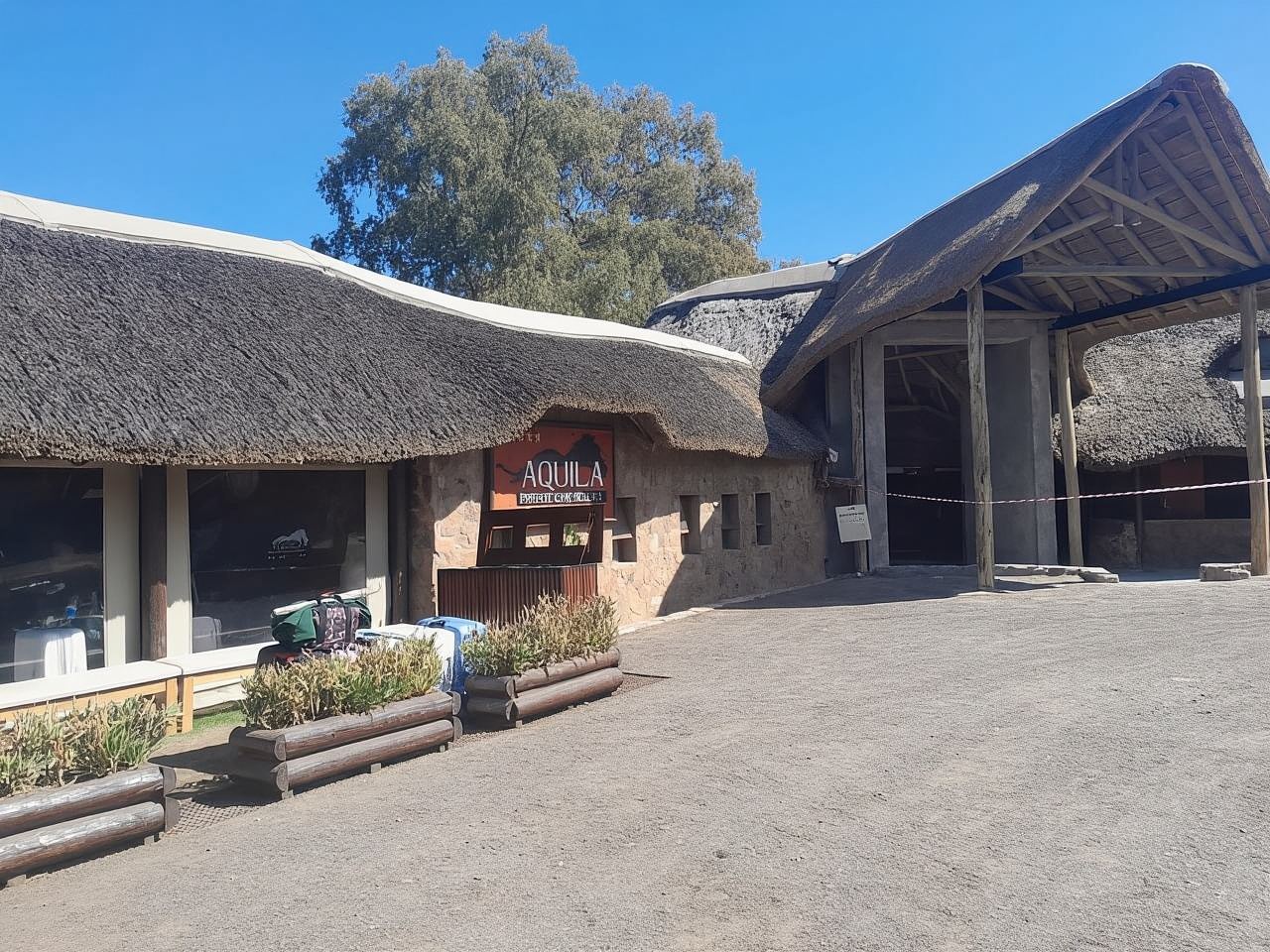 ケープタウン・アクイラ・ビッグファイブ・サファリとワインテイスティング