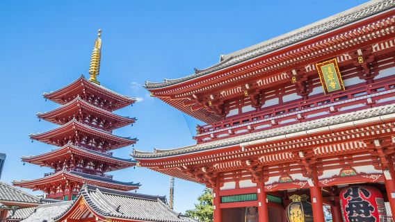 Tokyo: Asakusa, Kappabashi, and Ueno Walking Tour