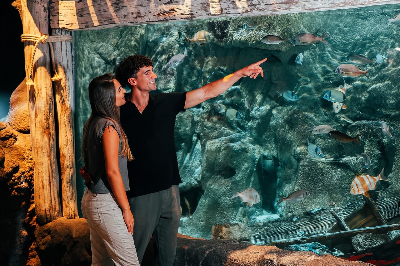 Lanzarote: Aquarium Entry Ticket