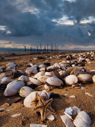 Kayaking amongst the seals and Sandwich Harbour- Combo Tour