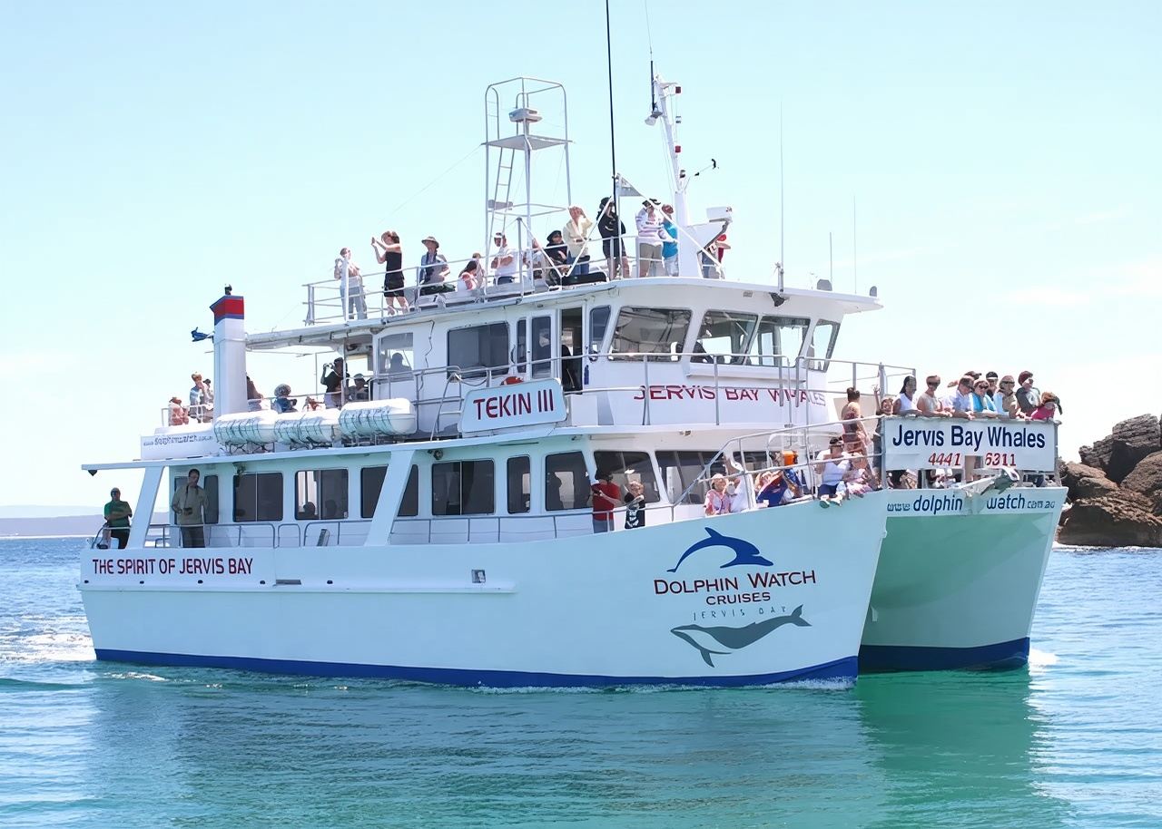 Sydney Jervis Bay Wild Cruises / Whale Watching Cruise [Daily Departures / Fast Confirmation]