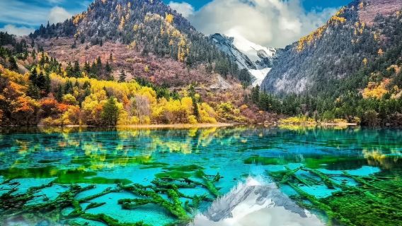 四川|成都&都江堰&九寨溝|中英文導遊|商務考察翻譯/展會翻譯服務|其他語言（請諮詢客服）