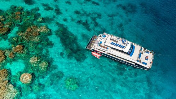 開恩茲綠島大貓號遊船【全日遊/半日遊/玻璃底船/自由浮潛/船上自助午餐/半潛艇/渡輪來回】