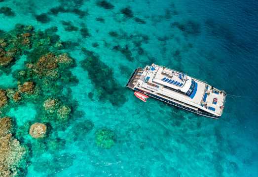 Cairns Green Island Great Cat Cruise [Full-Day Tour/Half-Day Tour/Glass-Bottom Boat/Free Snorkeling/Buffet Lunch on Board/Semi-Submarine/Round-Trip... AUD 95.34