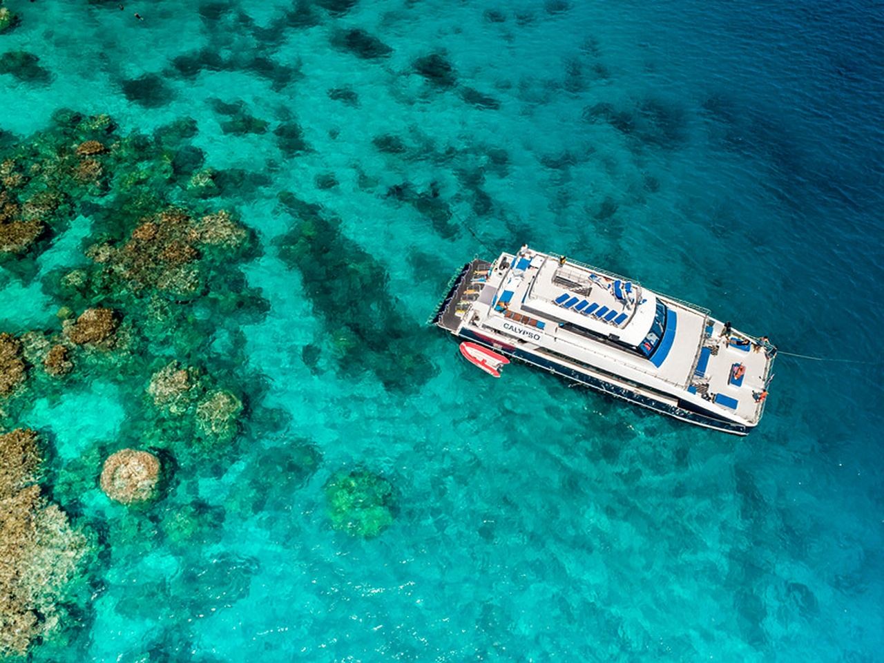 Cairns Green Island Great Cat Cruise [Full-Day Tour/Half-Day Tour/Glass-Bottom Boat/Free Snorkeling/Buffet Lunch on Board/Semi-Submarine/Round-Trip Ferry]
