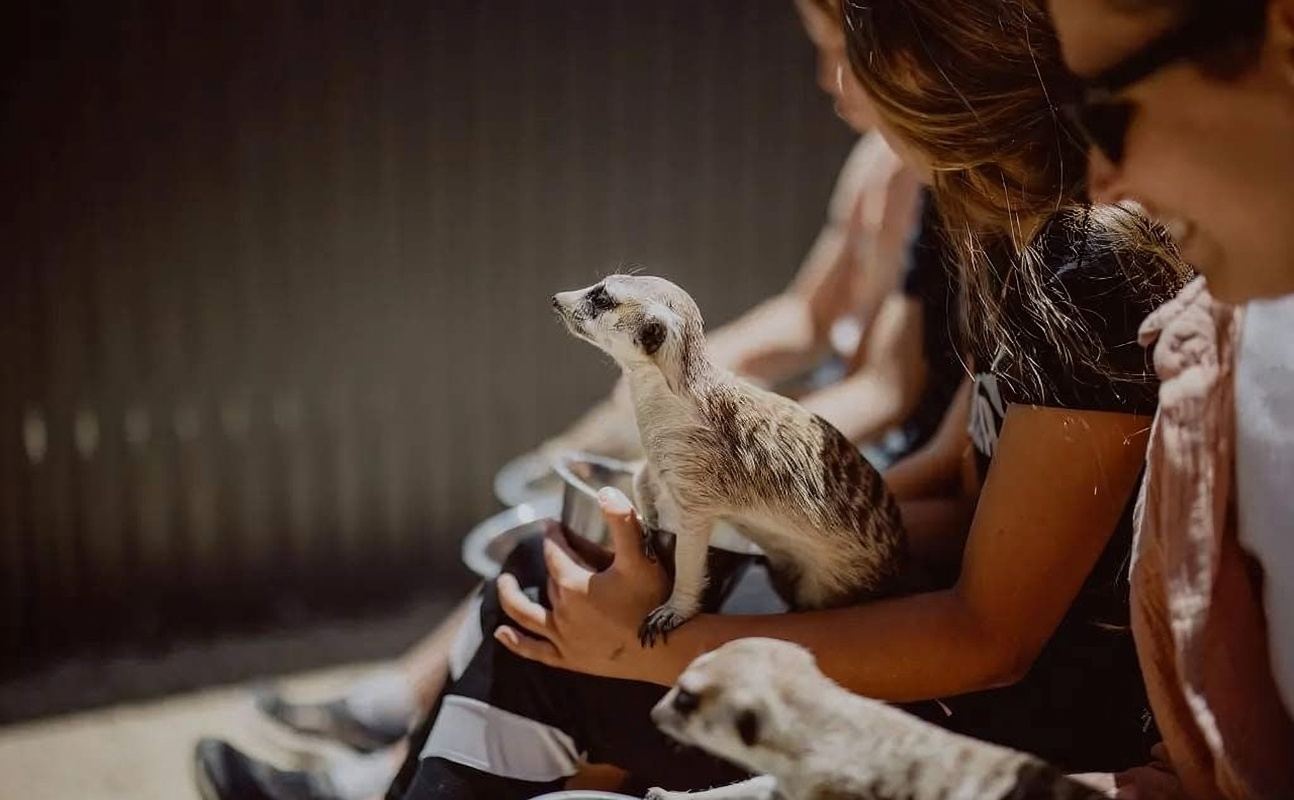 ฮันเตอร์ วัลเลย์ ไวด์ไลฟ์ พาร์ค และการพูดคุยกับผู้ดูแล