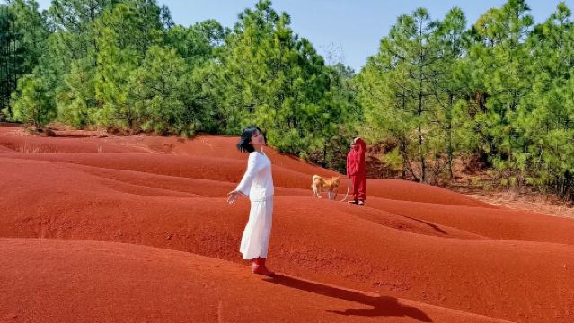 昆明東川紅土地包車一日遊:含來回高速+三環內接駁+純玩私家團