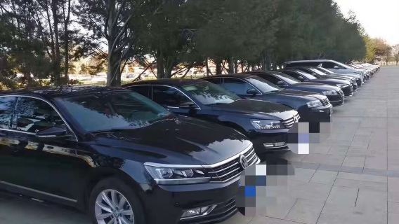 北京野生動物園一日遊【VIP私家包車◆私人訂製團建】