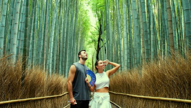 Киото: бамбуковый лес Арасияма, обезьяны, матча и храм.