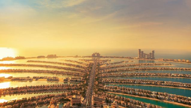 The View at the Palm