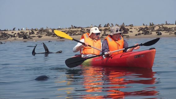 Pelican Point Kayaking Half-Day Tour