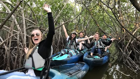 Thousand Island Mangrove Tunnel, Manatee & Dolphin Kayak Tour w/Cocoa Kayaking