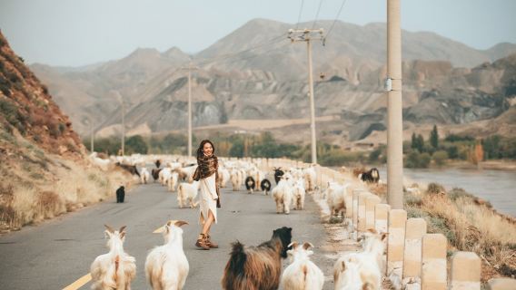 寧夏銀川中衞沙坡頭+騰格裡沙漠+66號公路一日遊【純玩無購】