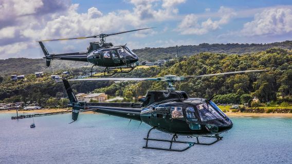 Tangalooma Sea to Sky Day Cruise with Marine Discovery Cruise