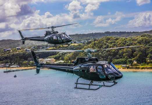 Tangalooma Sea to Sky Day Cruise with Marine Discovery Cruise AUD 399