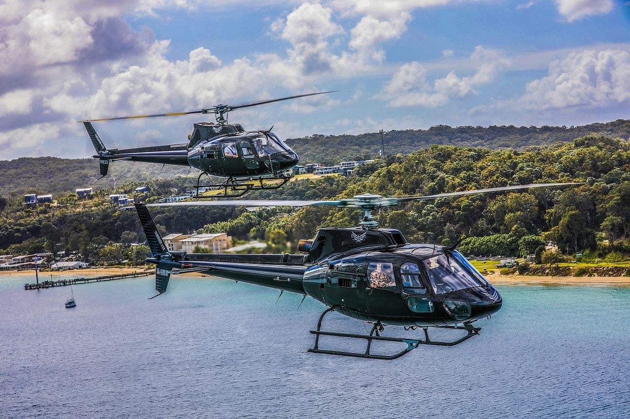 Tangalooma Sea to Sky Day Cruise with Marine Discovery Cruise