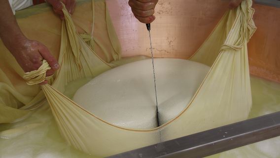 Mencicipi dan Bersepeda di Parma