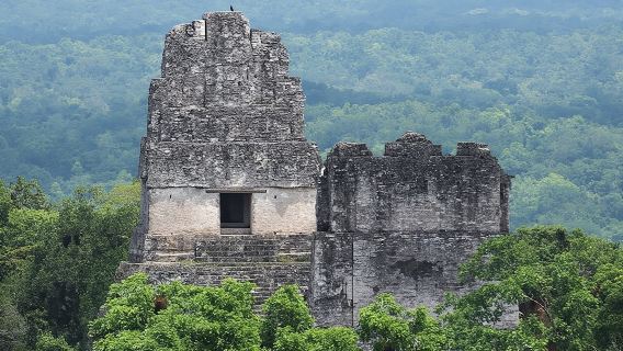 Avventura Maya a Tikal - Tour di 1 giorno