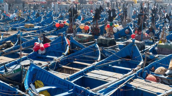 Essaouira dagtrip met gedeelde groep