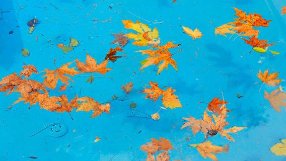 Perge Ancient City + Aspendos Ancient Theater + Alanya Archaeological Museum in Antalya, Turkey