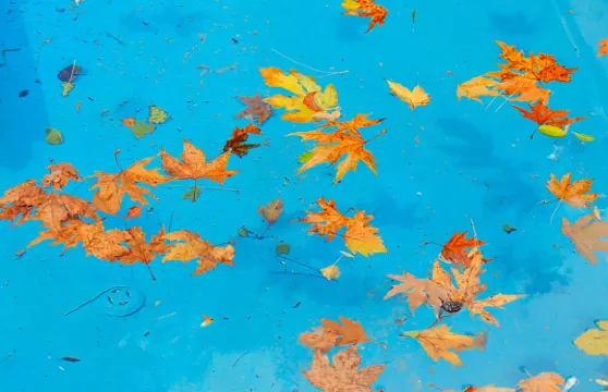 土耳其安塔利亞佩爾蓋古城+阿斯班多斯古劇場+阿拉尼亞考古博物