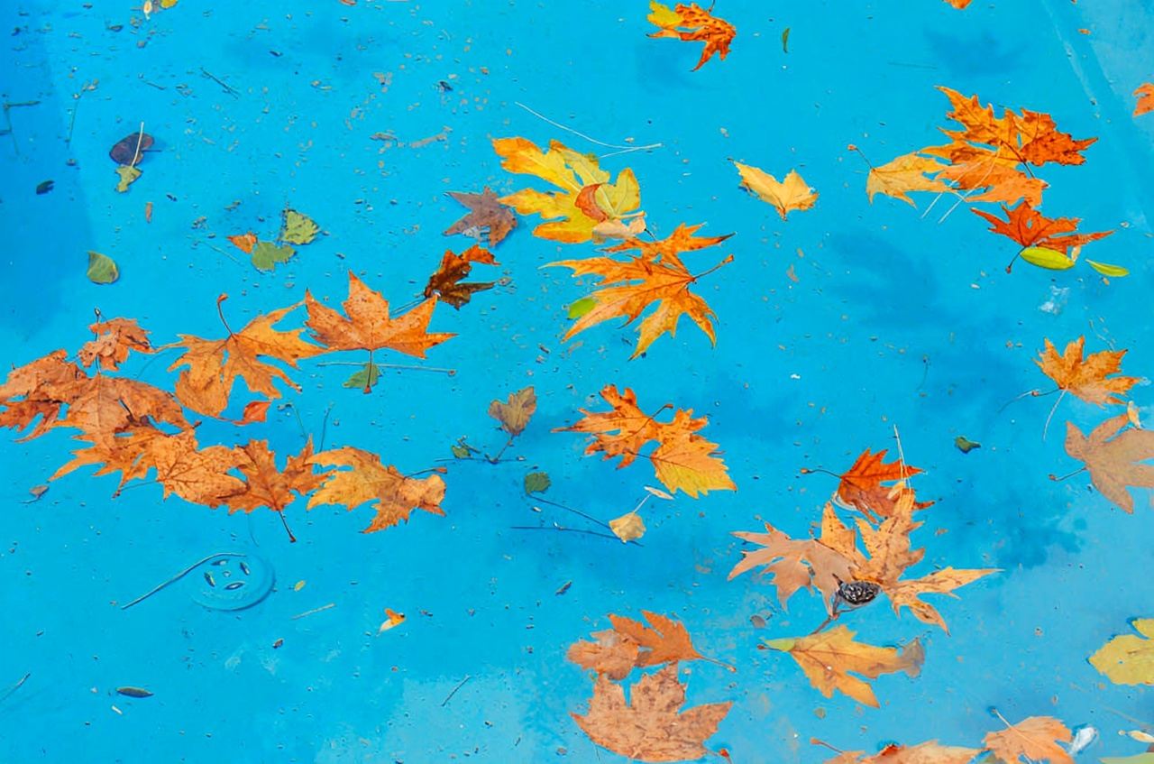 Antalya in Turchia: antica città di Perge + Teatro romano di Aspendos + Museo archeologico del Distretto di Alanya