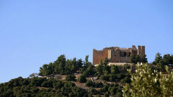 One Day Trip to Jerash & Ajloun Castle