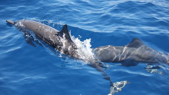 Puerto EscondidoExperiences