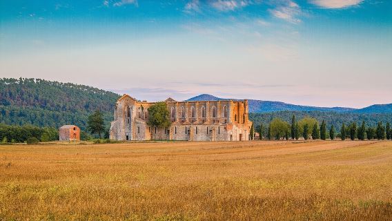 San Gimignano + Volterra + Gargano Abbey one-day tour in Italy|Comfortable small group