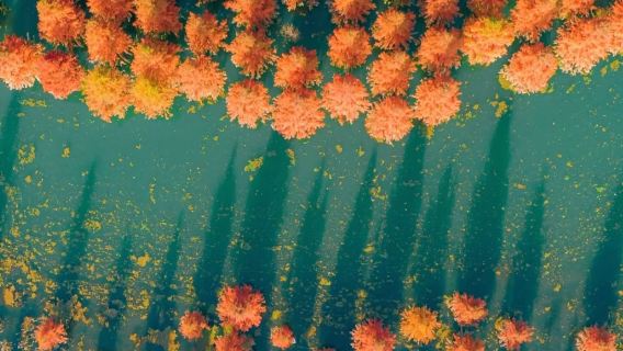 Юньнань, Куньмин: Западная гора + озеро Дяньчи + деревня национальностей [индивидуальный дневной тур|Гид, говорящий на китайском и английском языках