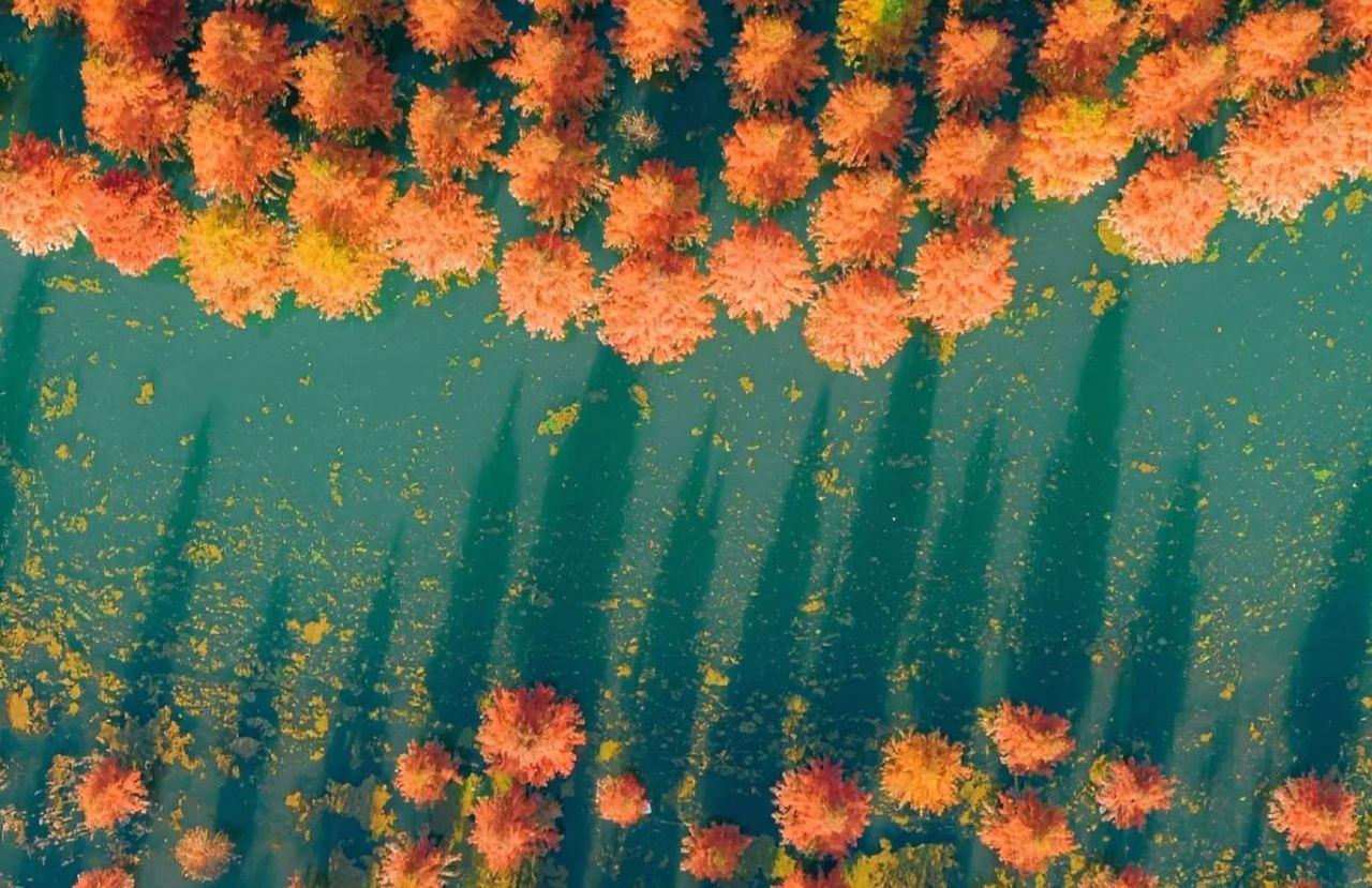 Kunming, Yunnan: Excursión de un día personalizada a la Montaña del Oeste, el Lago Dian y la Aldea Étnica|Guía multilingüe en chino e inglés