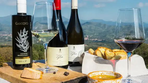 From Syracuse: Private Tour Mount Etna with Lunch at Etna Winery 