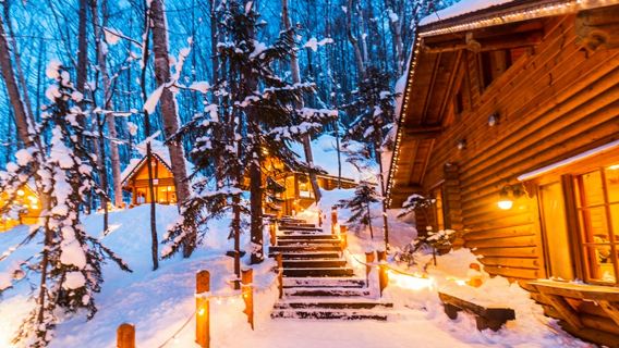 北海道動物園＆四季彩＆網紅聖誕樹或精靈露台一日遊／中文司導