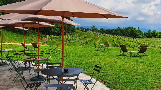 Onconventionele Prosecco-proeverij met prachtig uitzicht op wijngaarden