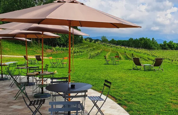 非傳統普羅賽克品酒體驗，葡萄園美景盡收眼底