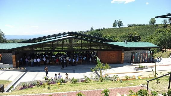 Hacienda Alsacia Starbucks Coffe Tour