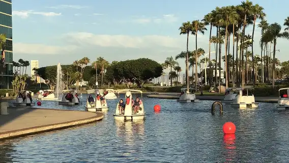 Swan Boat Rental at Rainbow Lagoon in Long Beach